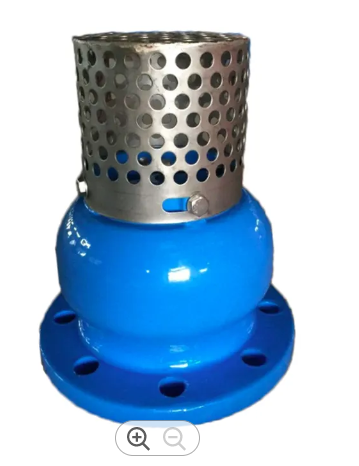 2.5 Inch Flange End Foot Valve